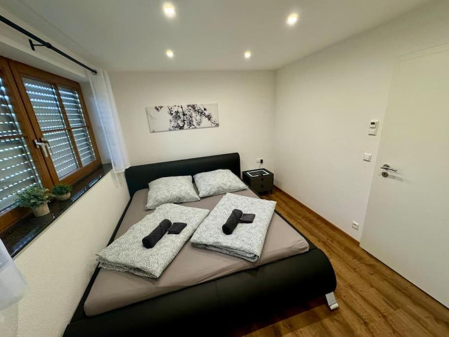 Gartenloft Oberteuringen ภายนอก รูปภาพ